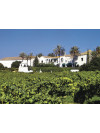 Viladellops Finca Tinto 2022